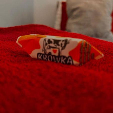 Petit 1 Bed Room Condo Warszawa Center 外观 照片