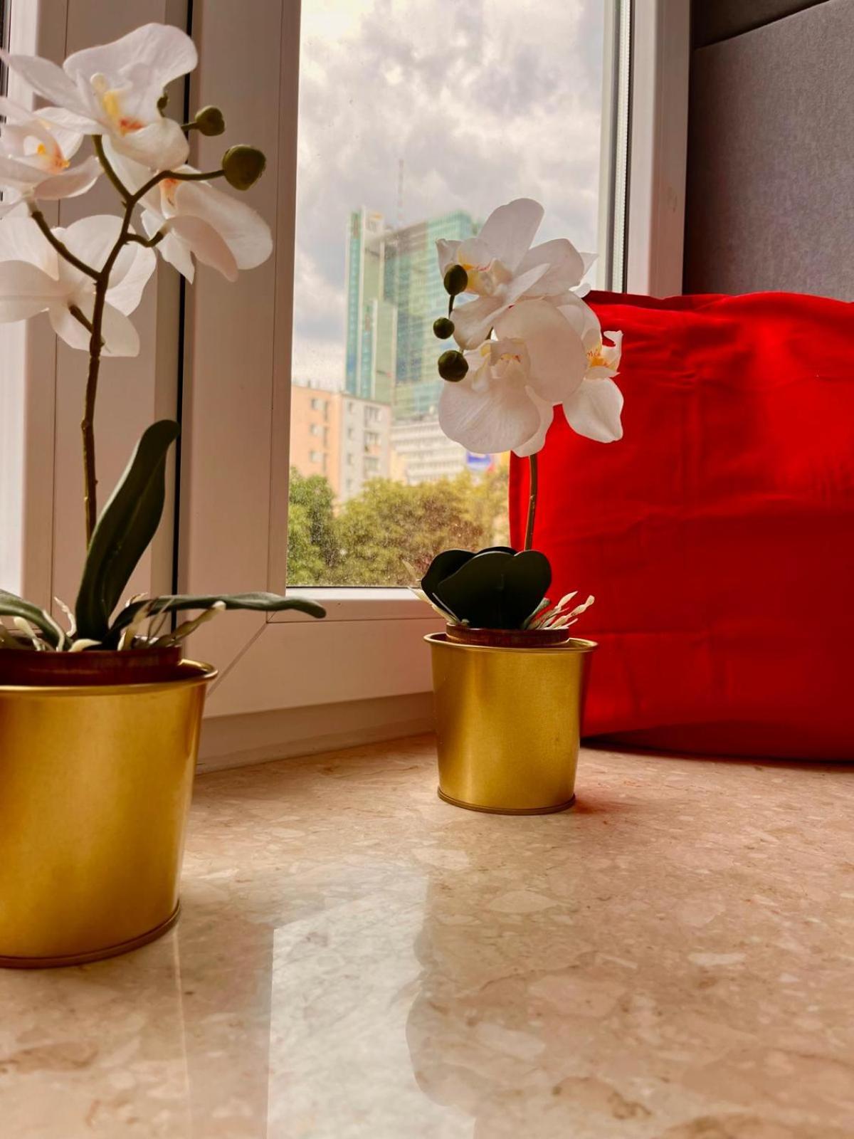 Petit 1 Bed Room Condo Warszawa Center 外观 照片